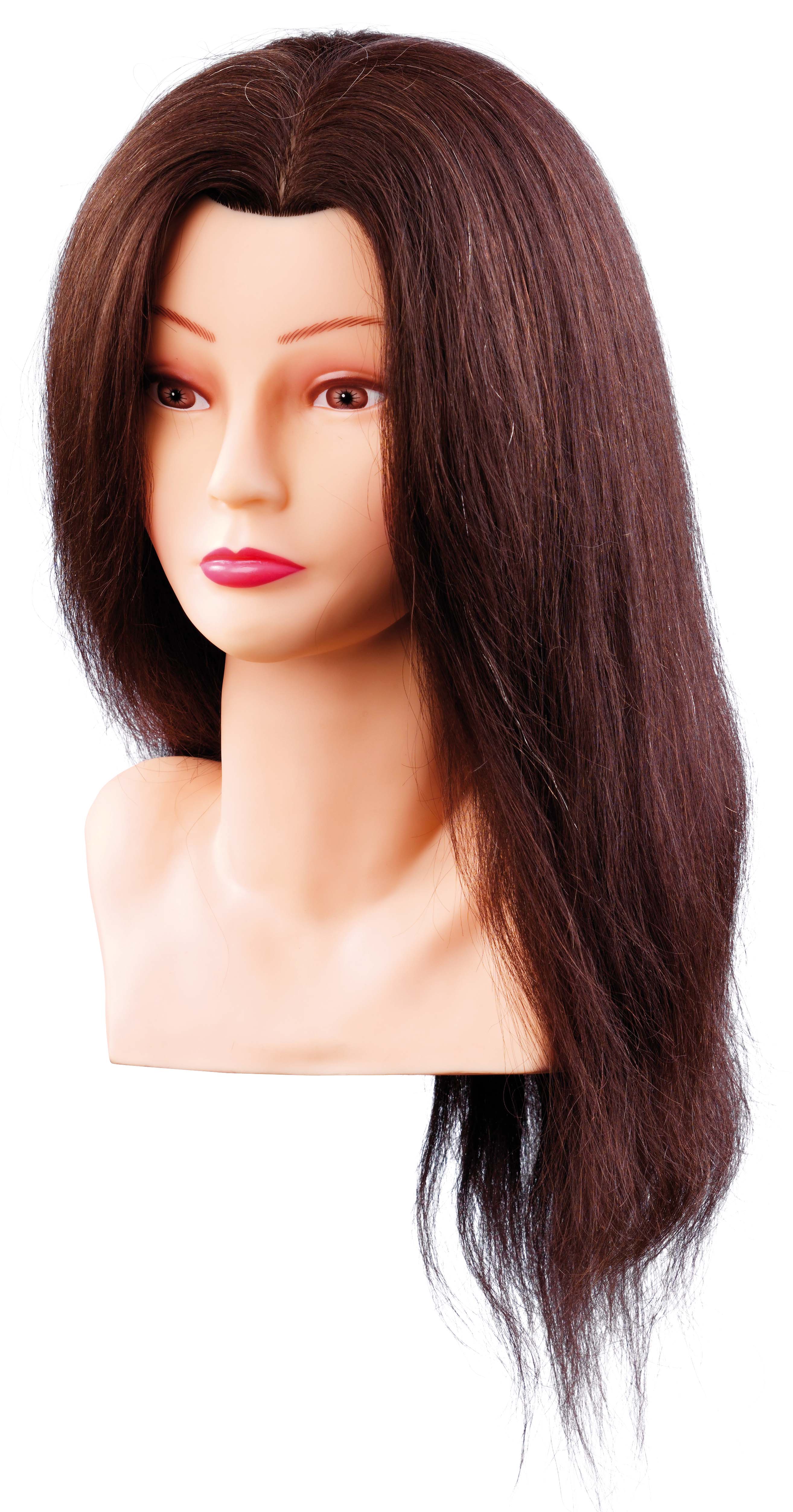Uebungskopf Ellen Braun Salon 01