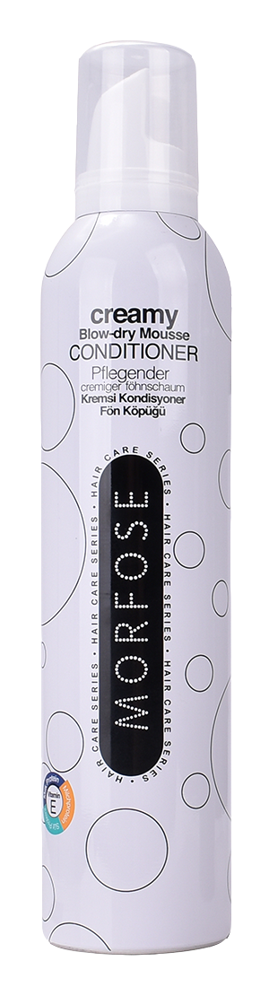 Morfose Föhnschaum Mousse 300 ml