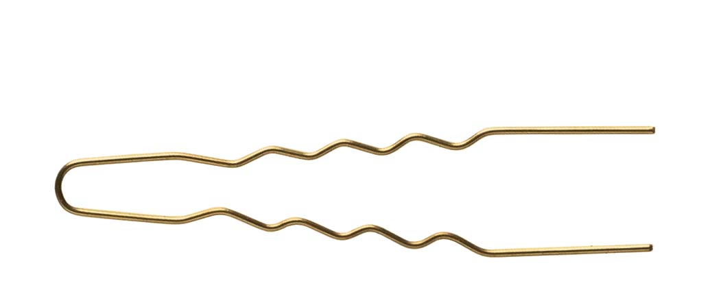 Lockennadeln Gold Duenn 50Er 45Mm 45X0 55Mm Friseur 01