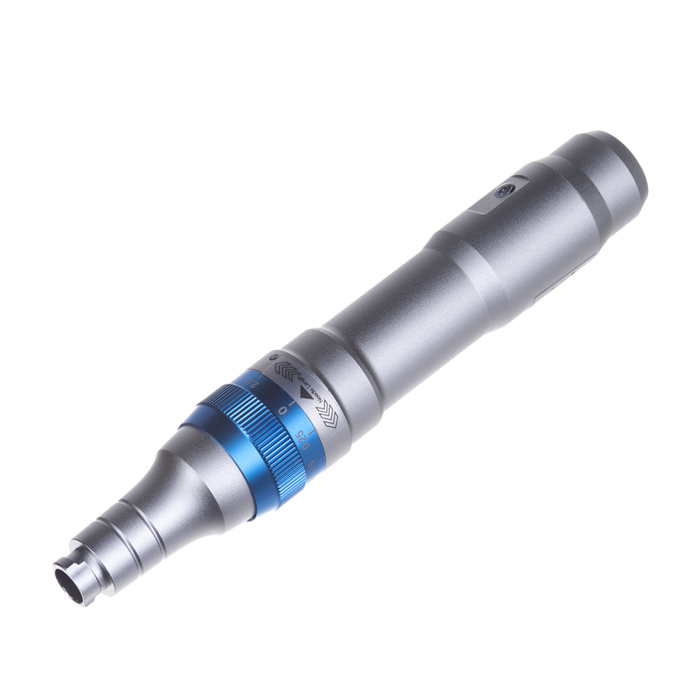 Professioneller Dermapen für Mikronadelung und Gesichtsbehandlung A6